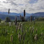 Alpenglück Apartamento *