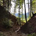 Alpenglück