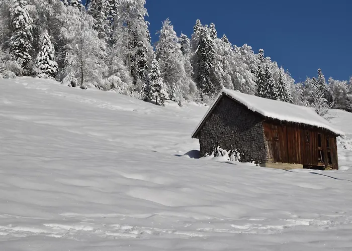 Alpenglück * Oberstaufen