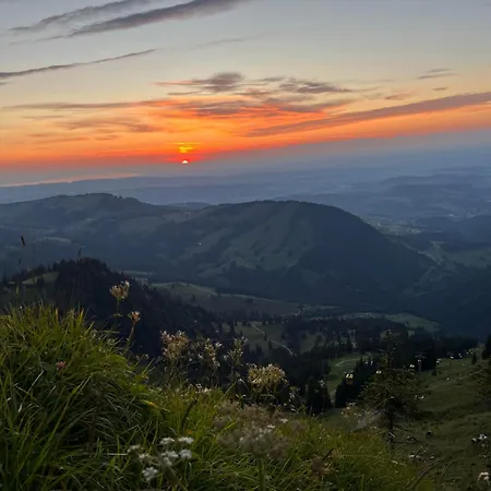 Alpenglück * Oberstaufen