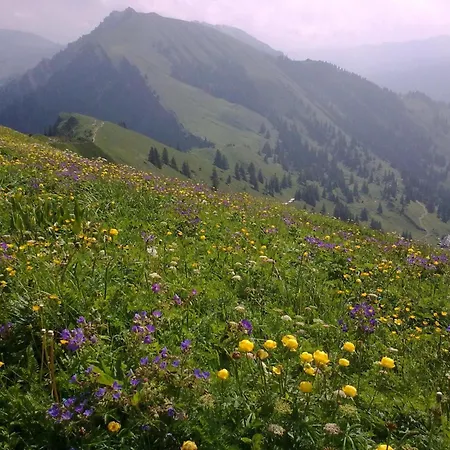Alpenglück Oberstaufen